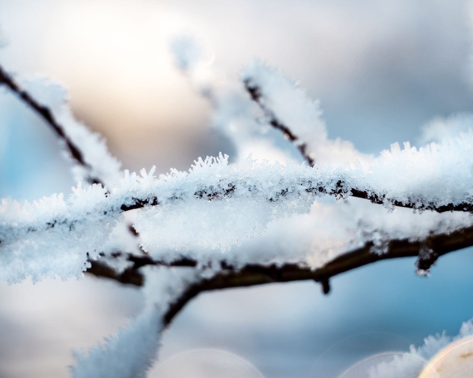 An illustration representing the word cold