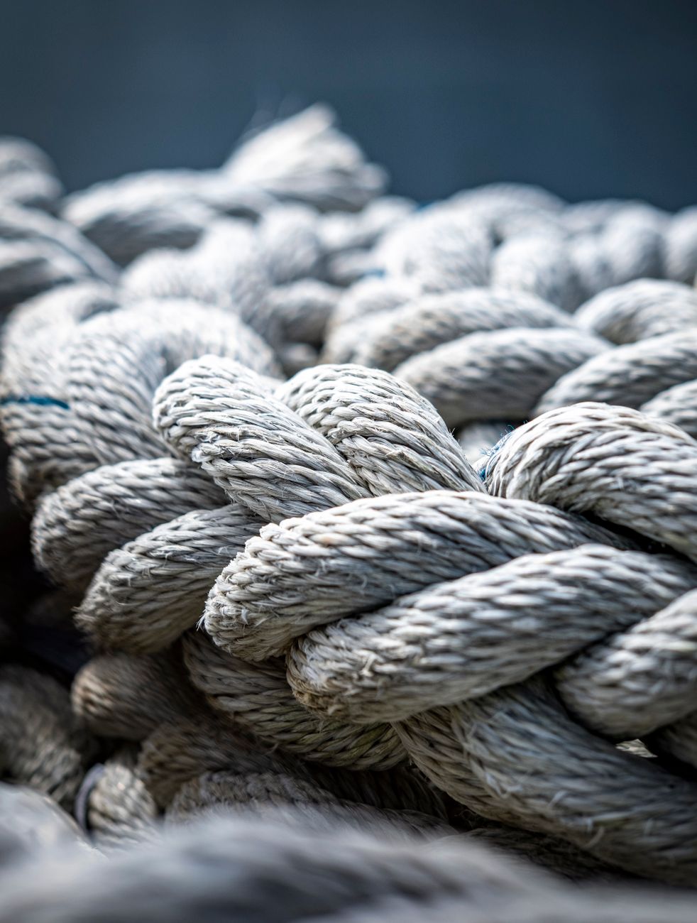An illustration representing the word durable